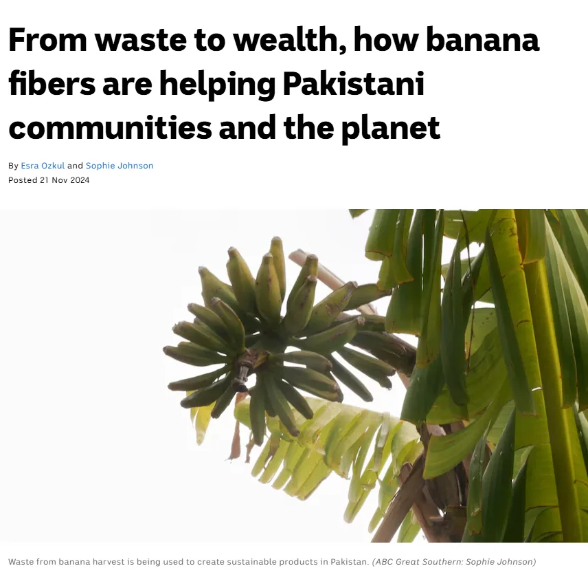 A news article screenshot shows a headline about banana fiber sustainability in Pakistan, overlaid on a photo of green…