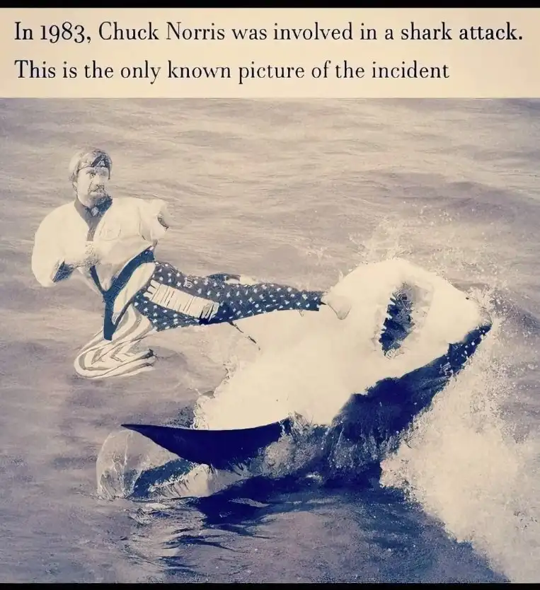 The Legendary Chuck Norris Meme