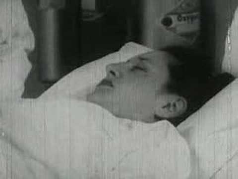 Exploring SCP-1229: The Bizarre World of Thirty-Seven Films Featuring Lana Neal