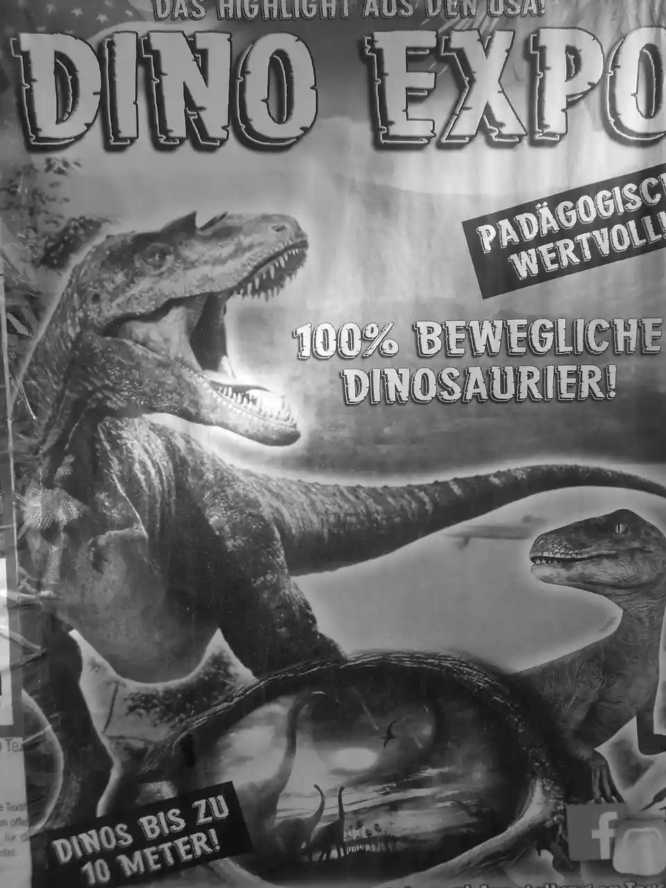 A black-and-white German promotional poster for a 'Dino Expo' featuring large, roaring Tyrannosaurus rex and other…