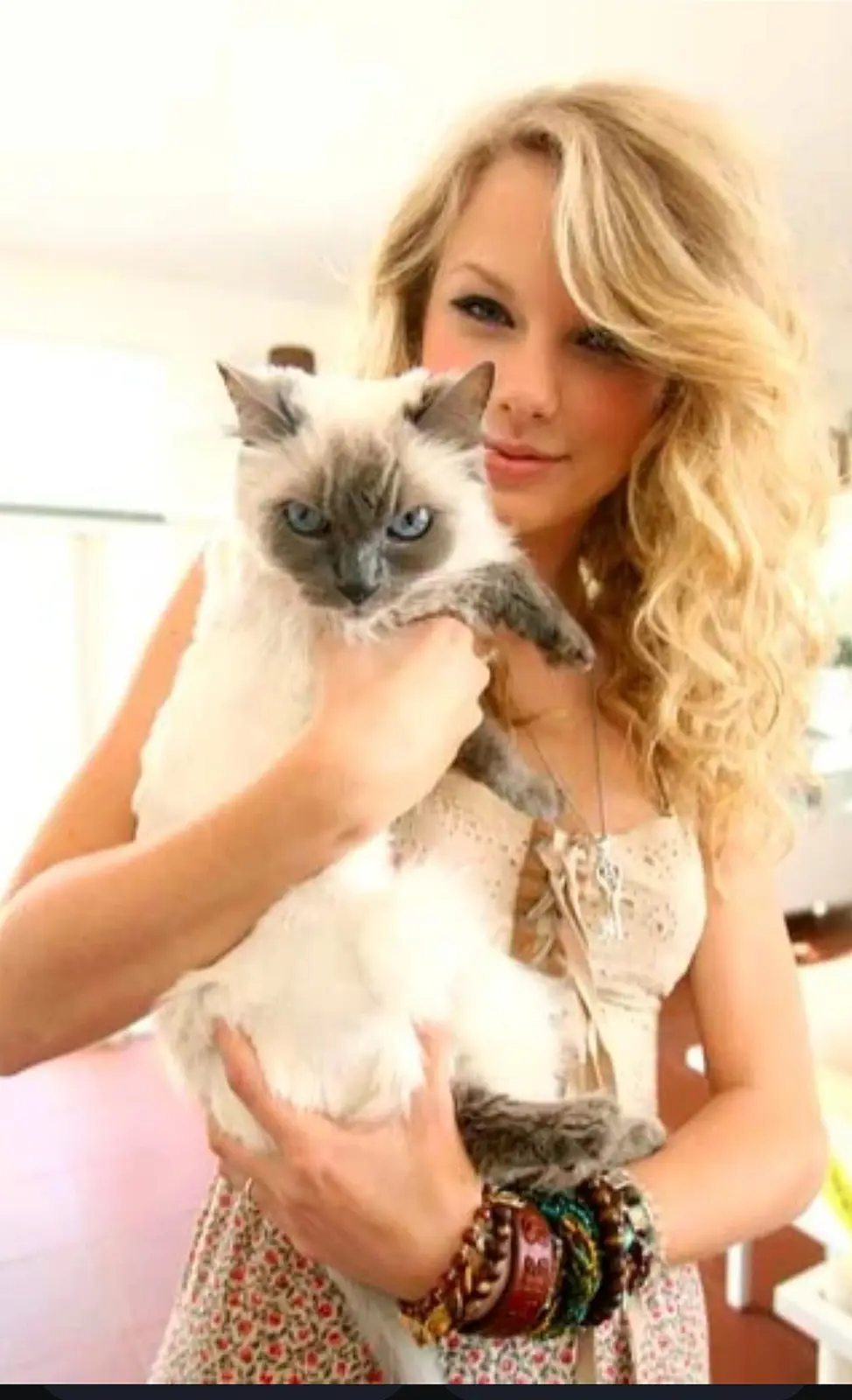It's 2024 and this cat is plotting world domination in a political post!