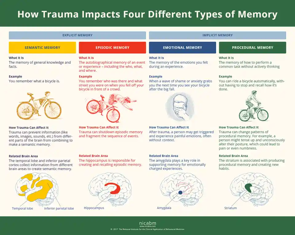 Exploring how trauma affects our memories (meme collection)