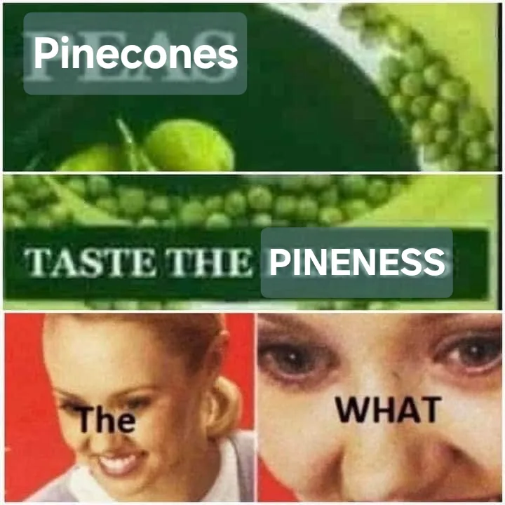 The image is a three-panel meme. The top panel shows a blurry green background with the word 'Pinecones' overlaid. The…