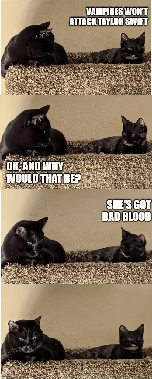 A four-panel meme featuring two black cats on a carpeted cat tree. The first panel shows one cat stating 'VAMPIRES WON'T…