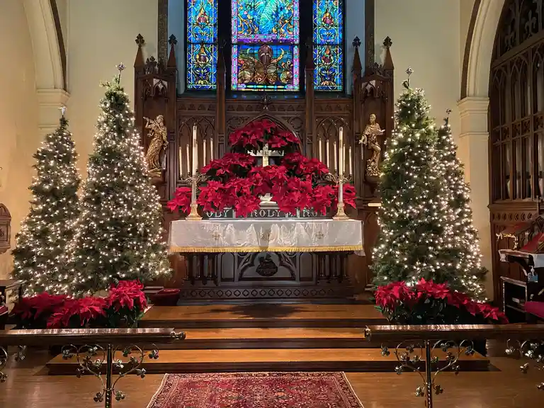 A church altar decorated for Christmas with three lit trees flanking it, red poinsettias, and a stained-glass window behind…