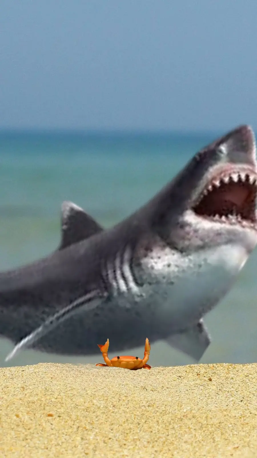 A small orange crab is visible on a sandy beach in the foreground, with a large, menacing shark emerging from the water…