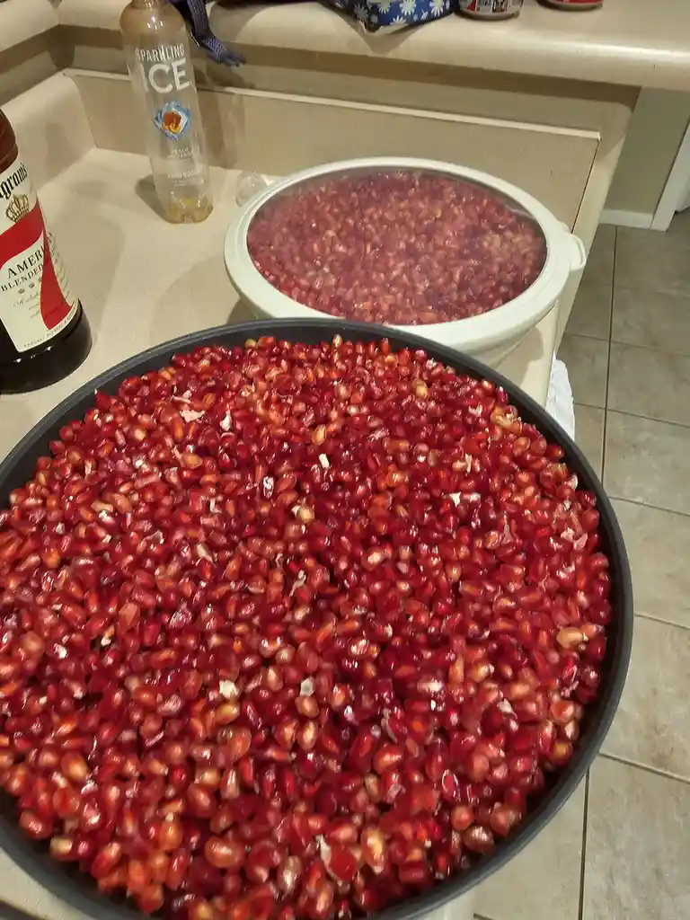 Harvesting Memories: The Last Pomegranates from My Tree