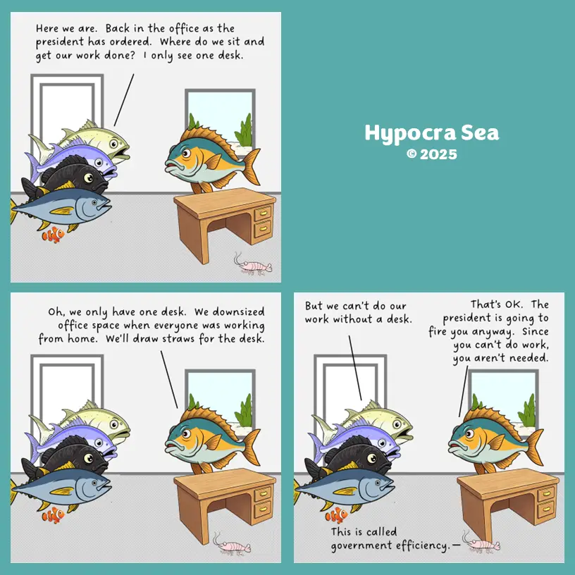 A four-panel comic strip featuring cartoon fish in an office setting. In the first panel, a group of fish asks where to sit…