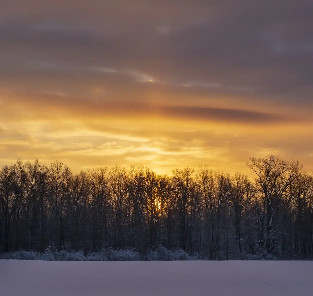 A serene winter landscape shows a snow-covered field with a line of bare, leafless trees silhouetted against a dramatic…