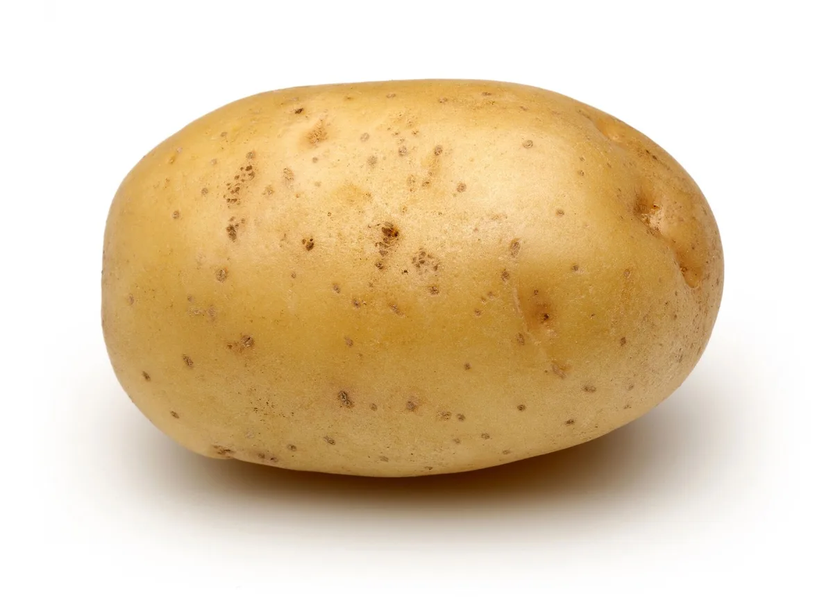 A single, unpeeled, light-brown potato with small indentations and spots sits centered on a plain white background. The…