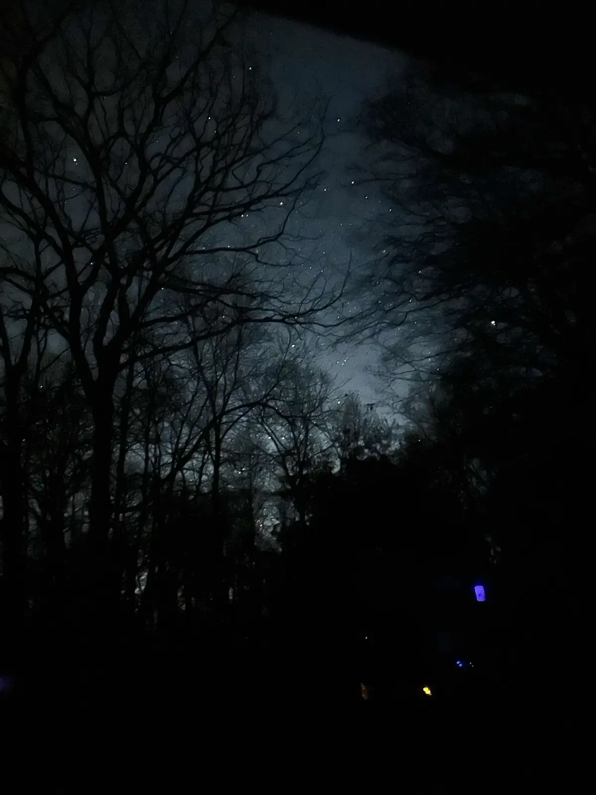 A dark night photo showing silhouettes of bare trees against a starry sky, with faint lights visible in the lower right…