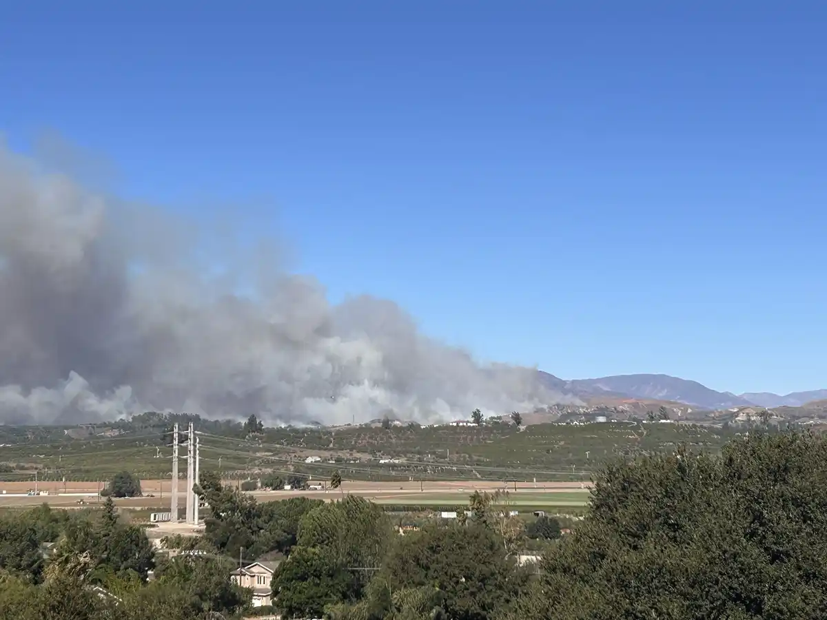 A wide shot shows a large plume of dark smoke rising from hills in the distance under a clear blue sky, with vineyards…