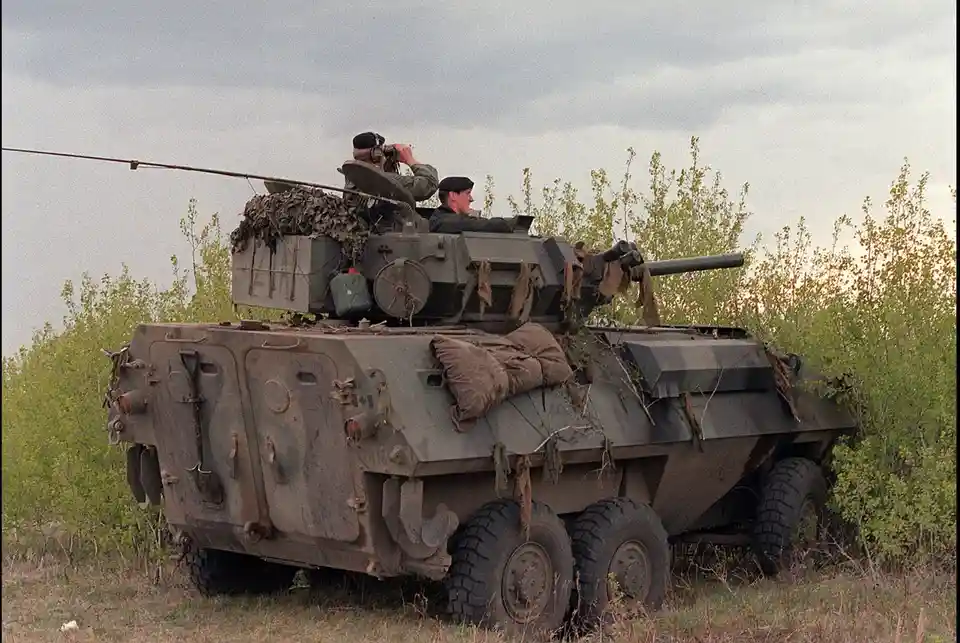The Mighty Canadian Light Armoured Vehicle