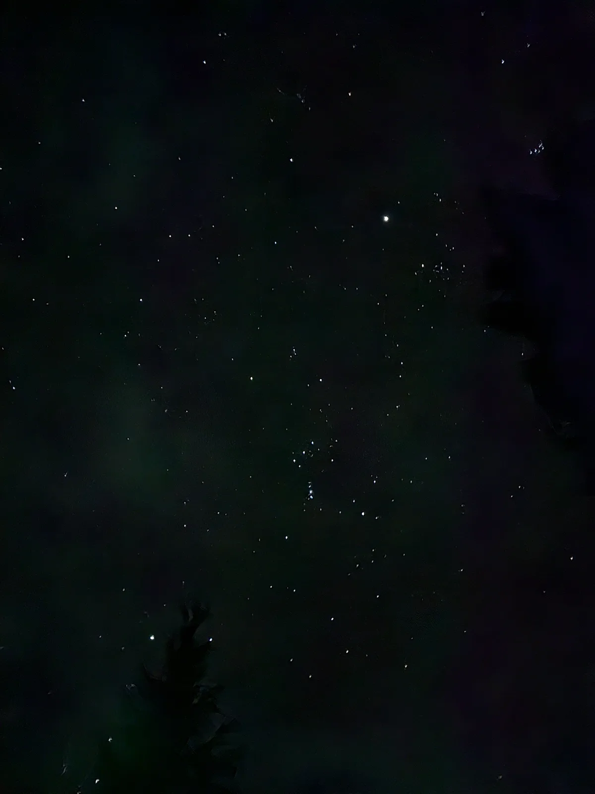 A dark night sky filled with numerous small, bright points of light resembling stars, with faint greenish atmospheric haze…