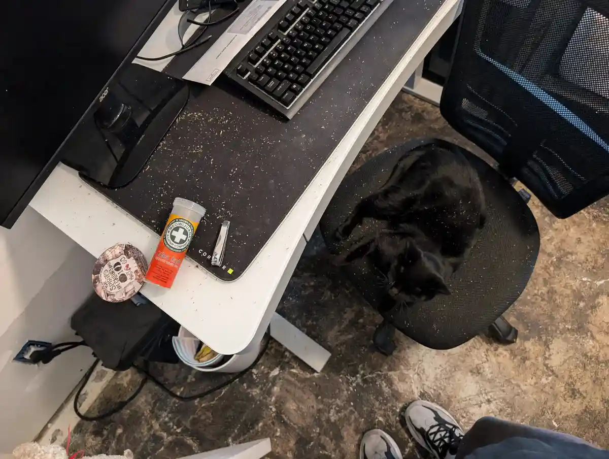 An overhead shot of a messy desk with a black cat sleeping on a chair, surrounded by scattered cat hair, a keyboard…