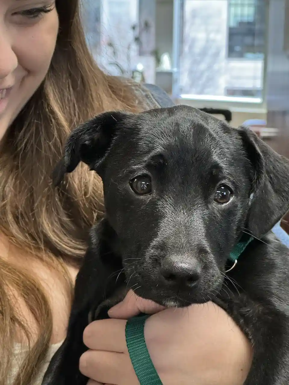 A close-up photo shows a young woman with long brown hair smiling while holding a small black puppy. The puppy, wearing a…