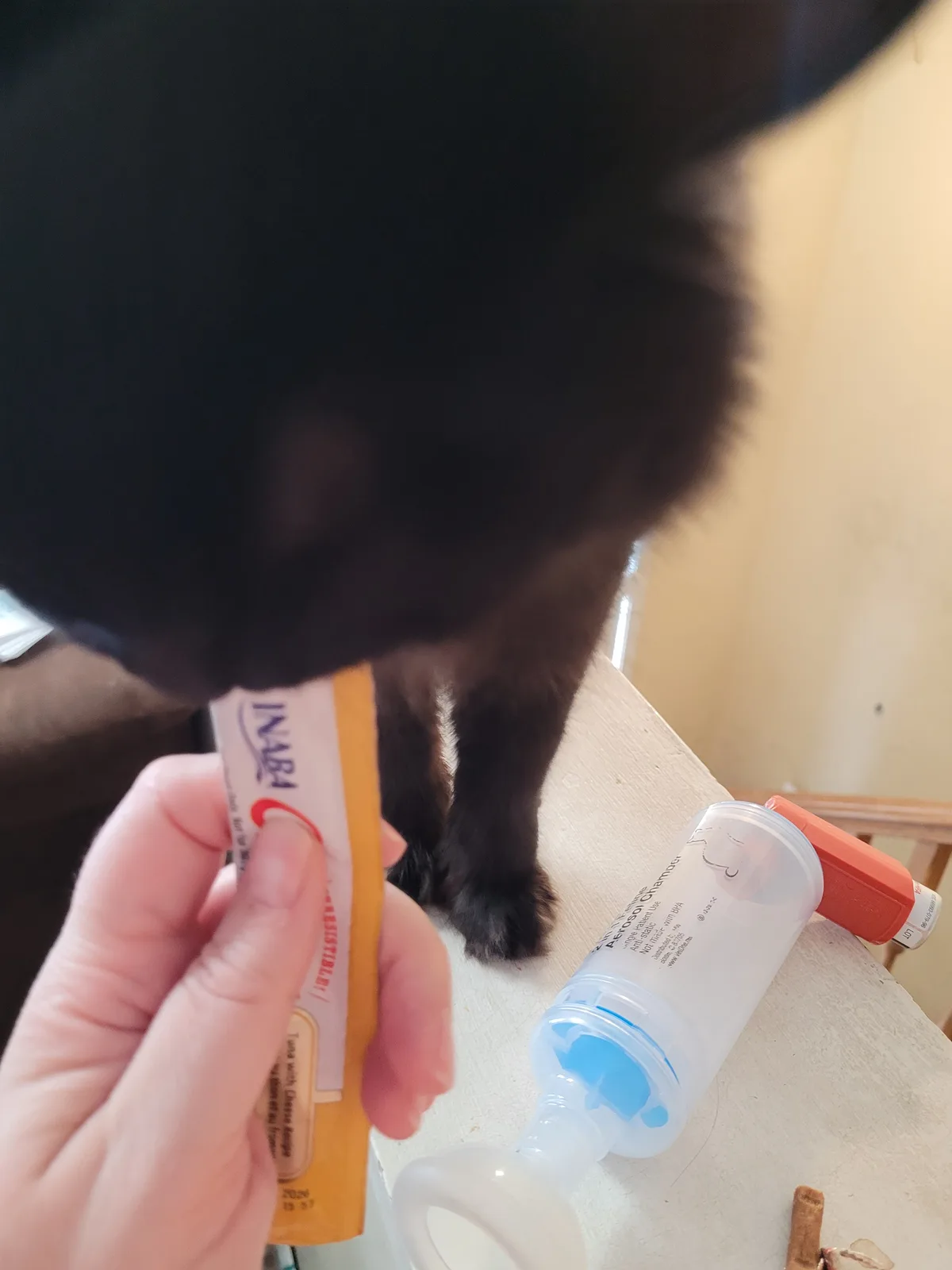Great News! Void Floof Had a Fantastic Checkup