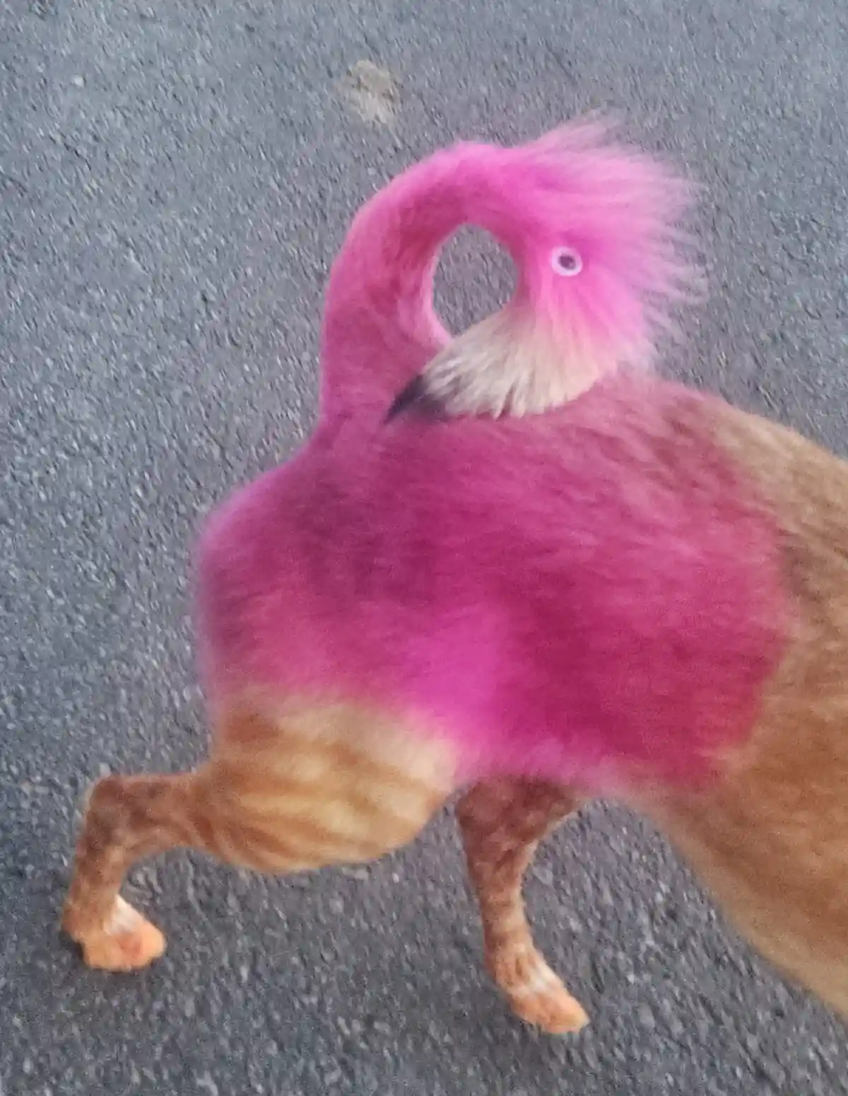 A cat with its upper body and head digitally altered to resemble a pink flamingo, complete with a curved neck and…