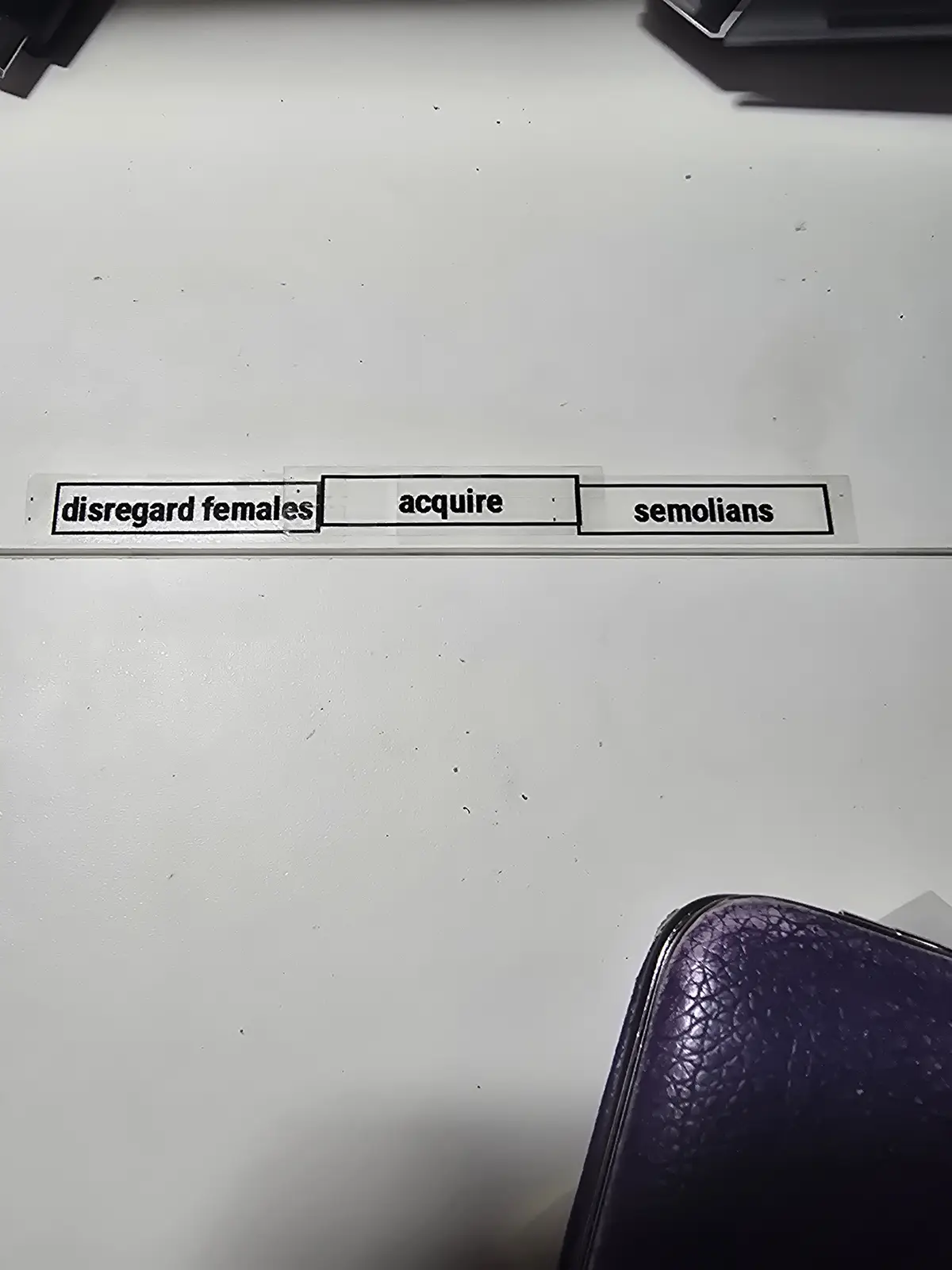 A close-up photo shows three rectangular labels taped horizontally on a white surface, reading 'disregard females'…