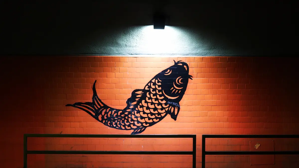 A black silhouette mural of a koi fish painted on an orange brick wall, illuminated by a single overhead light. The fish is…