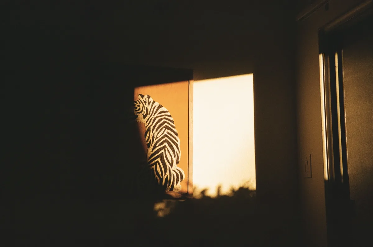 A dimly lit room features a framed zebra-patterned artwork illuminated by warm sunlight streaming through a window. The…