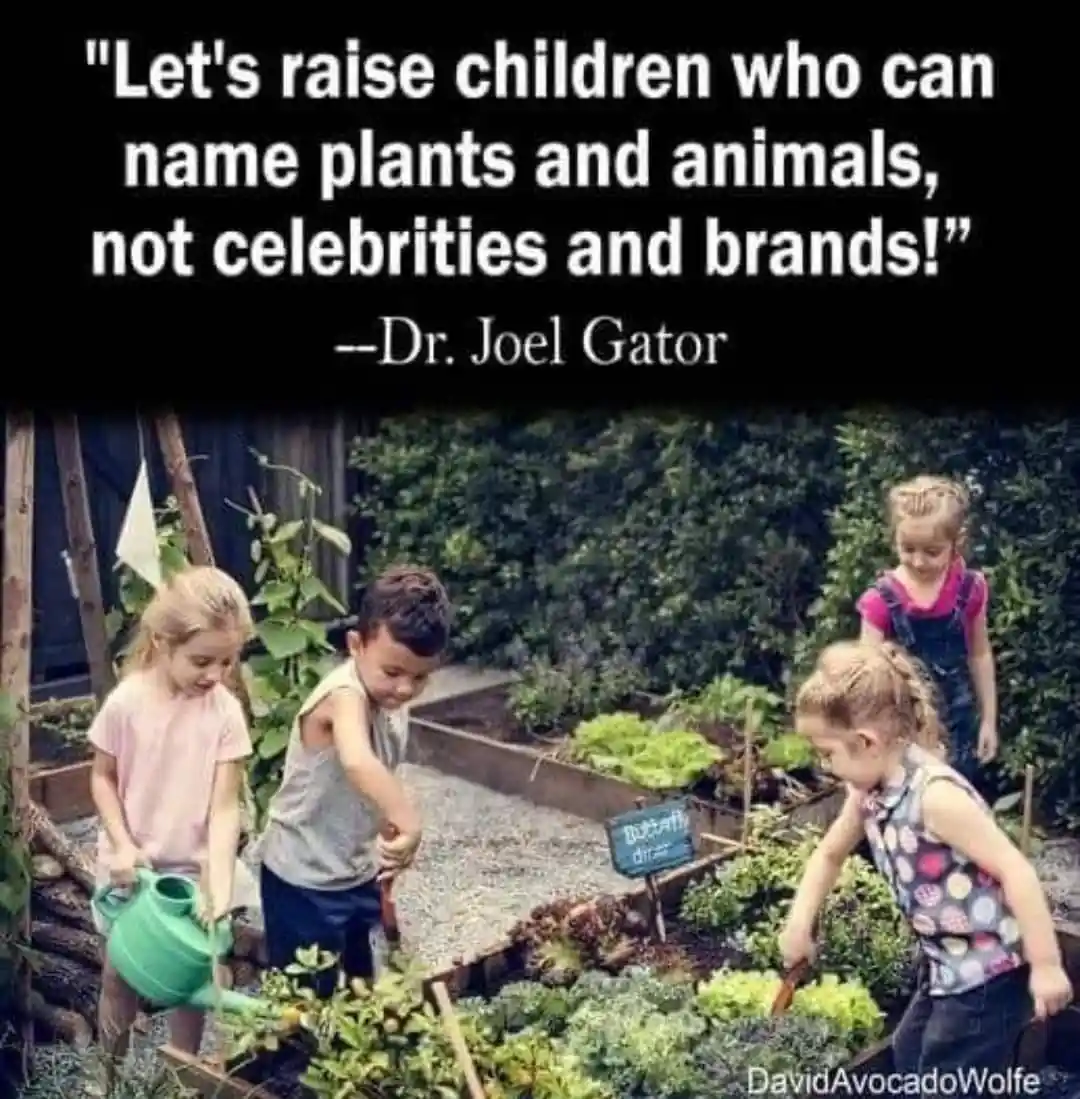 Four young children are shown gardening in a backyard vegetable patch, with one watering plants and others digging or…