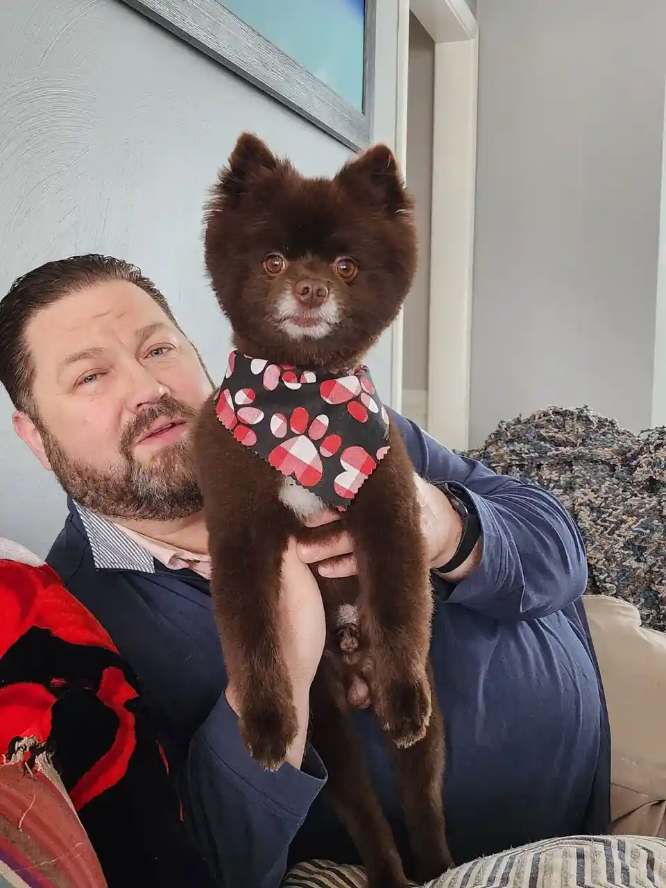 A man with a beard and blue shirt holds a small, fluffy brown dog wearing a red and white paw-print bandana. The dog looks…