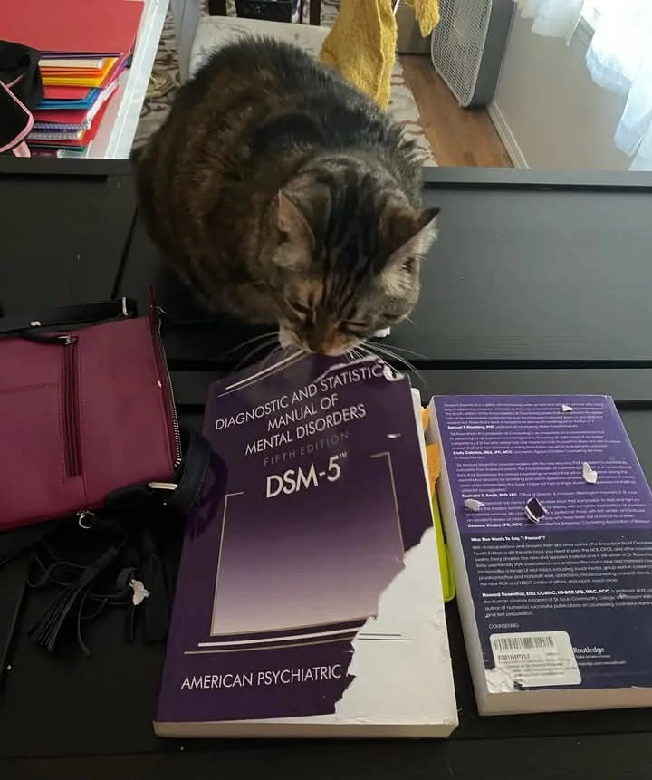 A tabby cat is seen sniffing or licking the cover of a 'Diagnostic and Statistical Manual of Mental Disorders, Fifth Edition…