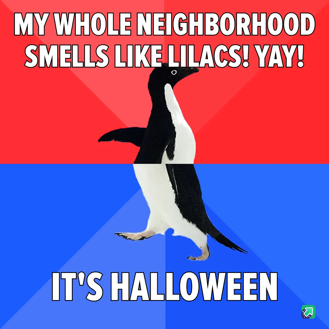 A black-and-white penguin stands centered against a split red and blue background. The top red section has white text…