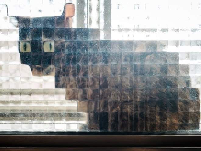 A cat is seen through a window, its body and face composed of a mosaic of square glass panes, creating a pixelated effect…