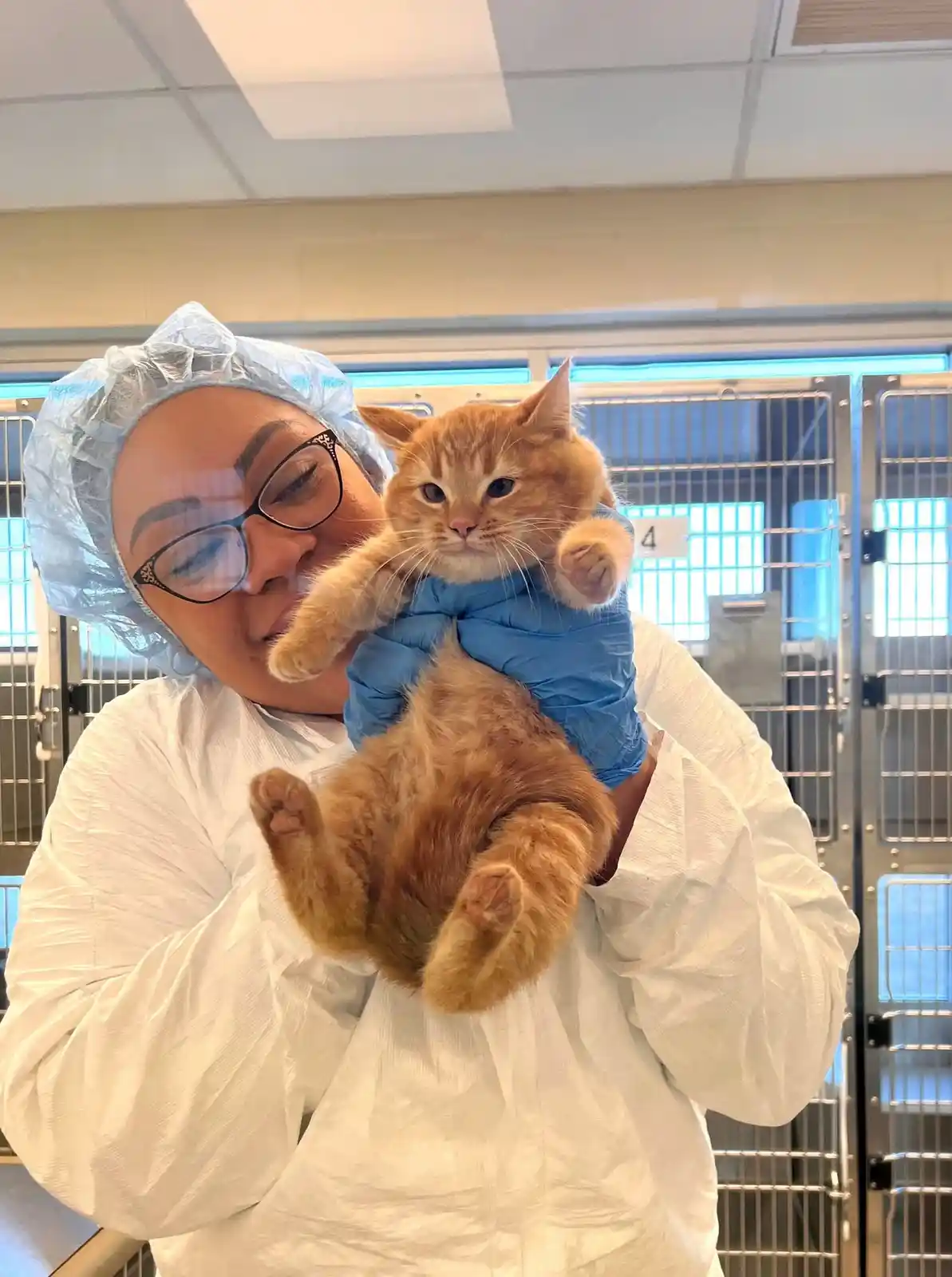 A person in a white protective suit, blue hairnet, and blue gloves holds an orange tabby cat. The cat is being held upright…