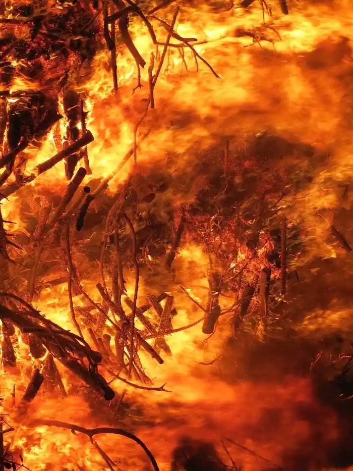 A close-up photograph of intense orange and yellow flames consuming tangled branches and twigs, with glowing embers and…