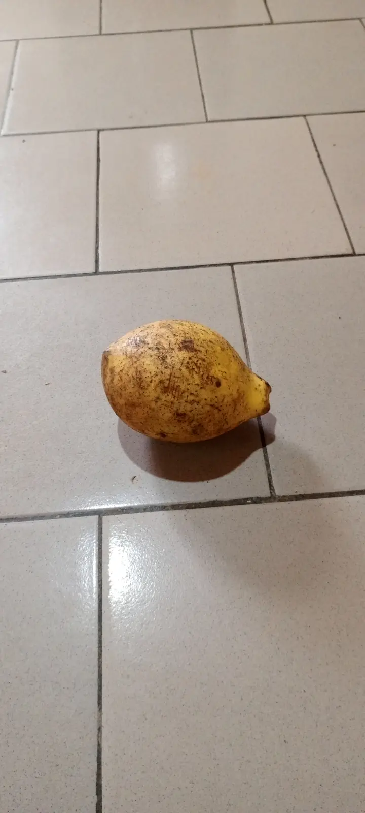 A single, yellowish-brown, speckled fig lies on a light-colored tiled floor. The overlaid text reads 'i'm not a fig, i'm a…