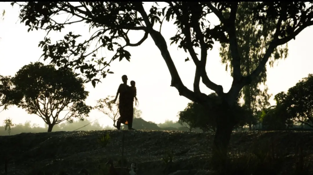 A silhouette of a person carrying a child on their back walks across a field under a large tree at sunrise or sunset. The…
