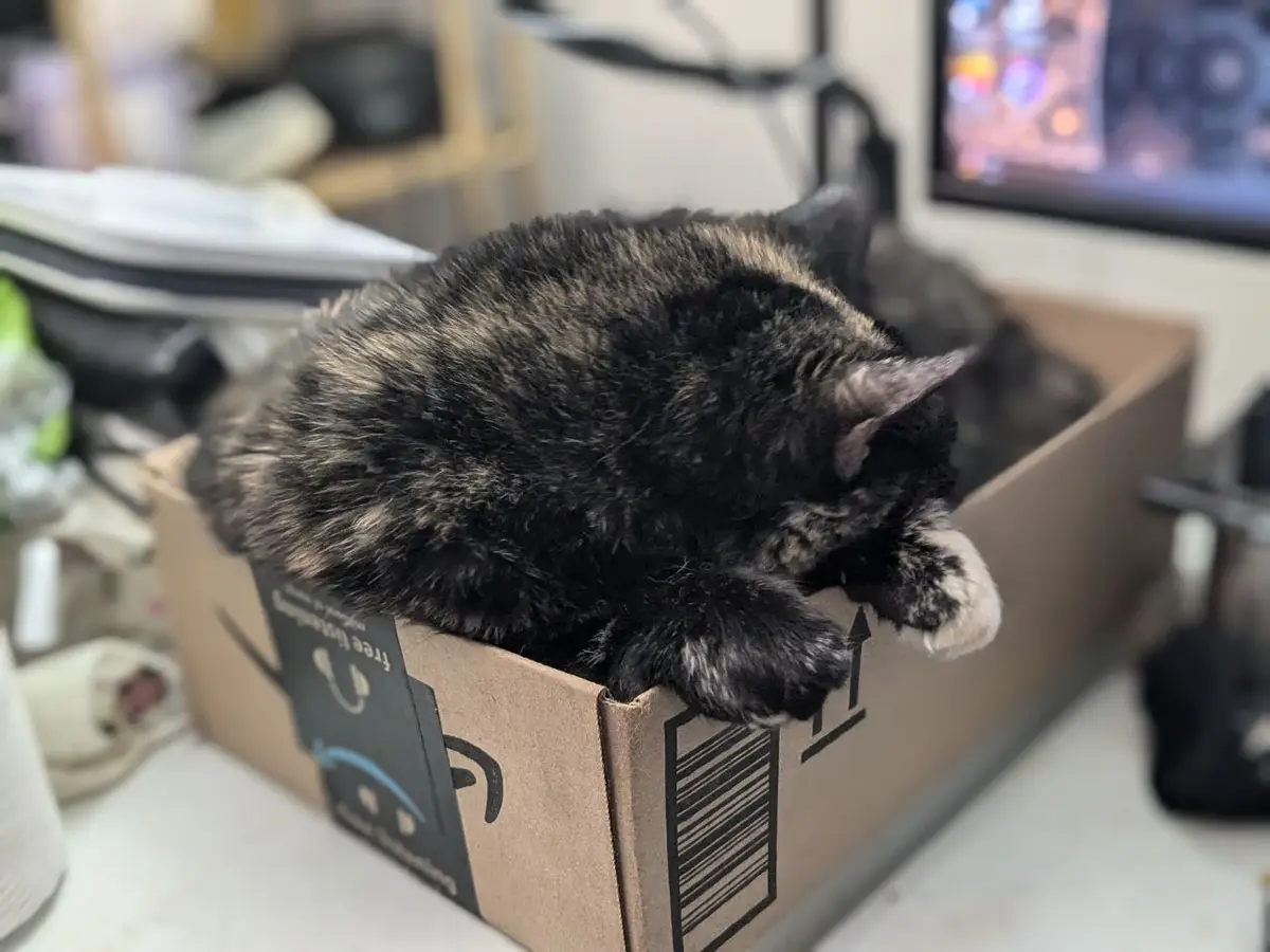 A black and brown tortoiseshell cat is curled up and sleeping inside a cardboard Amazon shipping box, with one paw hanging…