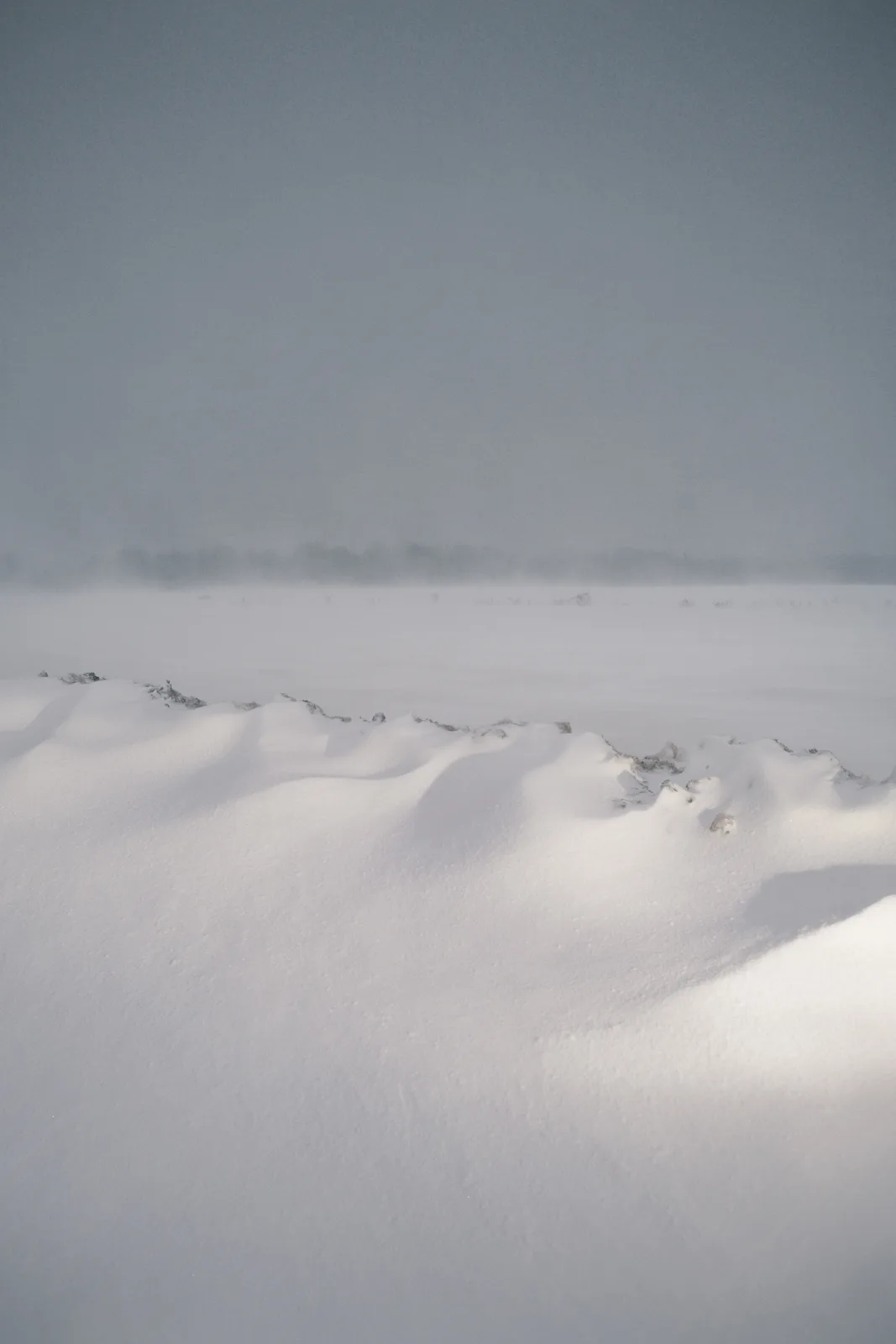 A wide, desolate snowy landscape under a gray sky, with snowdrifts in the foreground and a hazy, foggy horizon. The overlaid…
