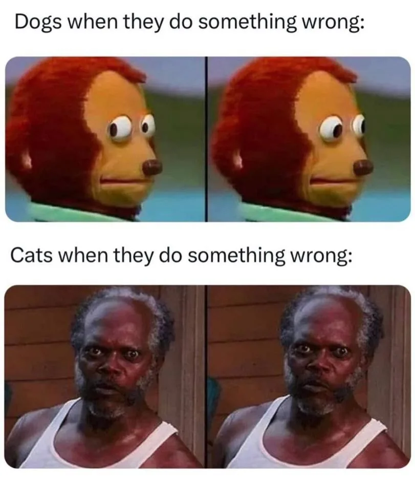 The meme displays two panels. The top panel shows a red-haired, yellow-faced monkey puppet with a slightly guilty or…