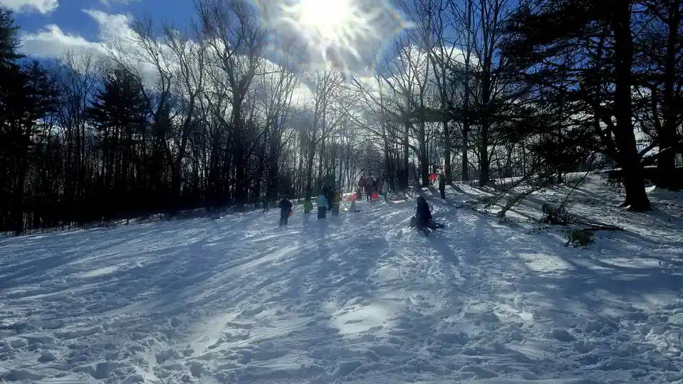 A wide shot of a snowy hill with bare trees under a bright sun, showing several people with sleds or snowboards scattered…