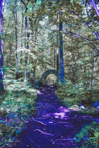 A forest path leads to a stone archway, heavily edited with surreal blue and purple lighting. The image has a dreamlike…