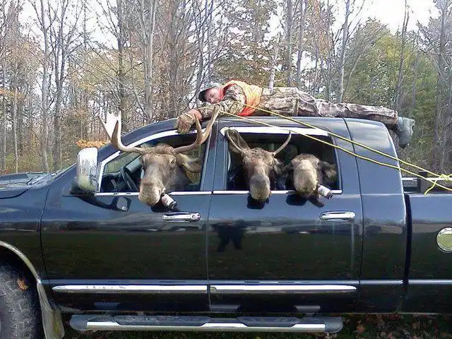 It's officially hunting season!