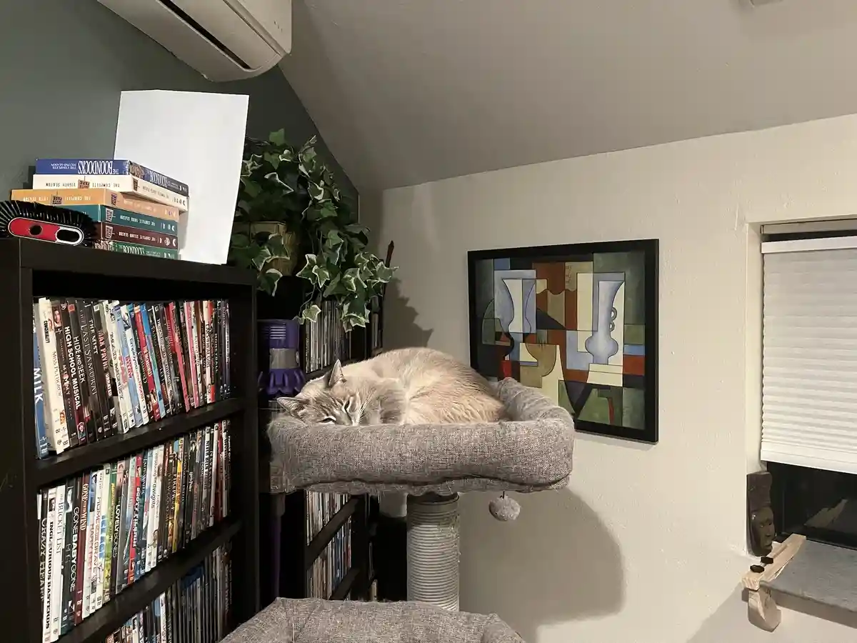 A light gray cat is curled up and sleeping soundly in a gray fabric cat bed mounted on a cat tree. The cat tree is…