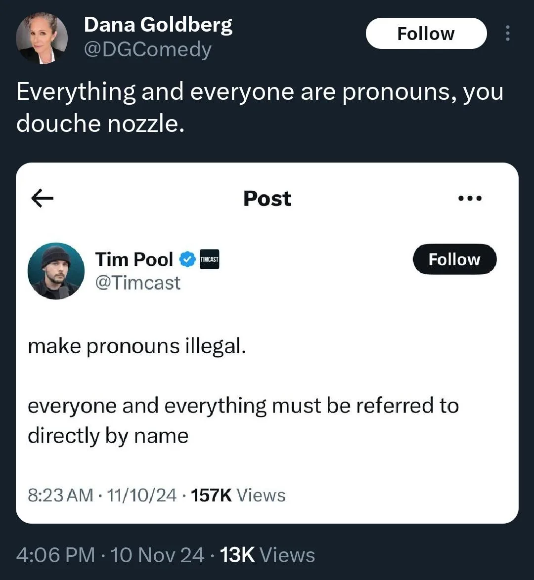 A screenshot of a Twitter post by Tim Pool, which reads 'make pronouns illegal. everyone and everything must be referred to…