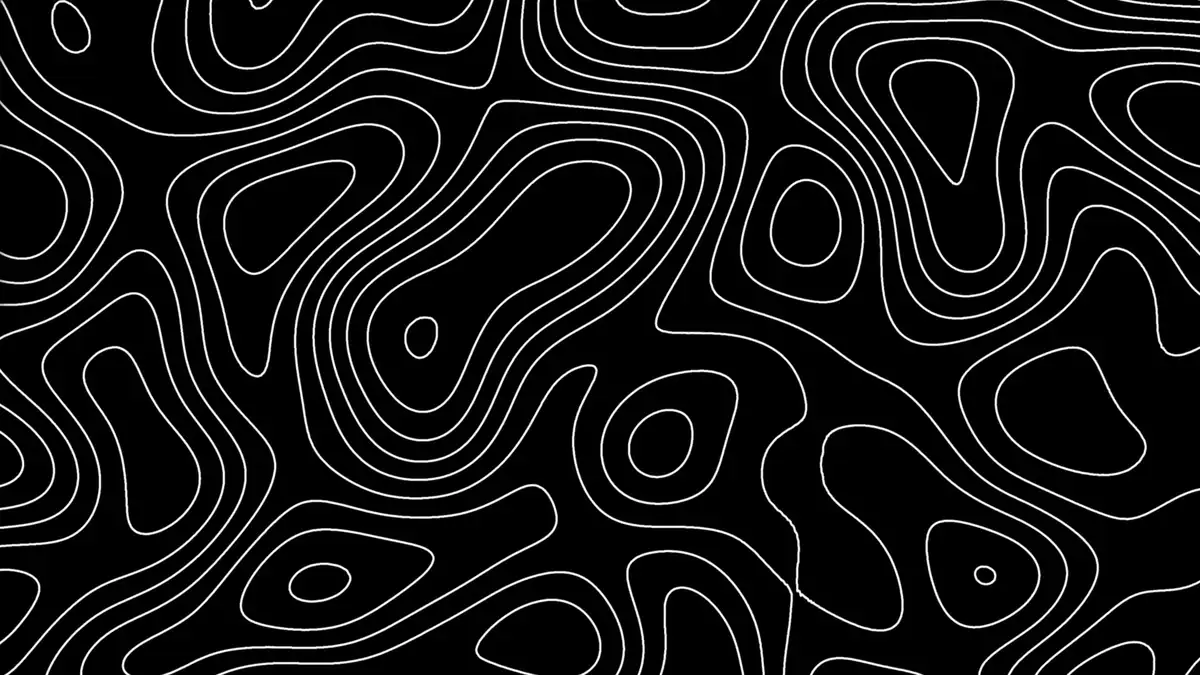 The image displays a black background with white, wavy contour lines resembling topographic maps or abstract fluid patterns…