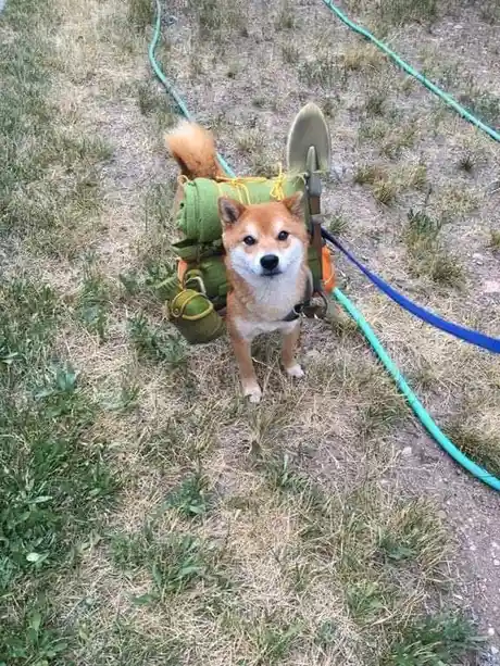 Embrace the Spirit of Adventure