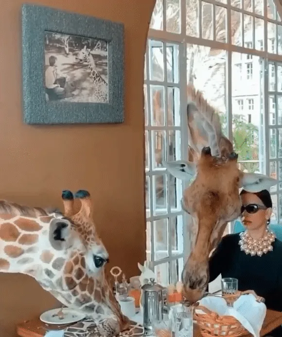 A giraffe is seated at a dining table with a woman wearing sunglasses and a pearl necklace, both appearing to be having a…