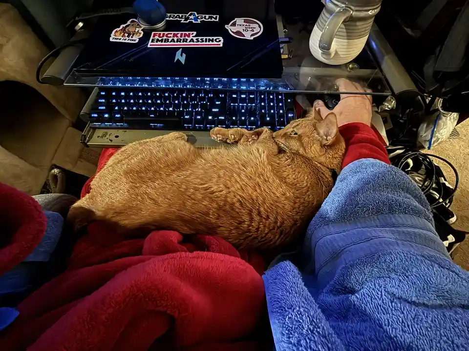 A ginger cat is lying on its back on a person's lap, partially covering a glowing blue mechanical keyboard. The person…