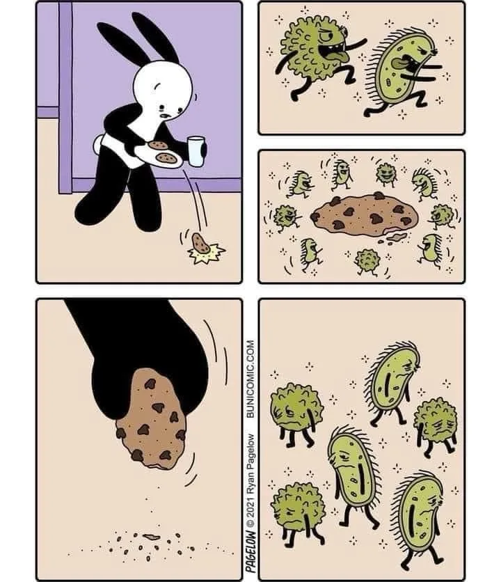 A four-panel comic shows a white bunny with black ears dropping a chocolate chip cookie. In the next panel, cartoon bacteria…