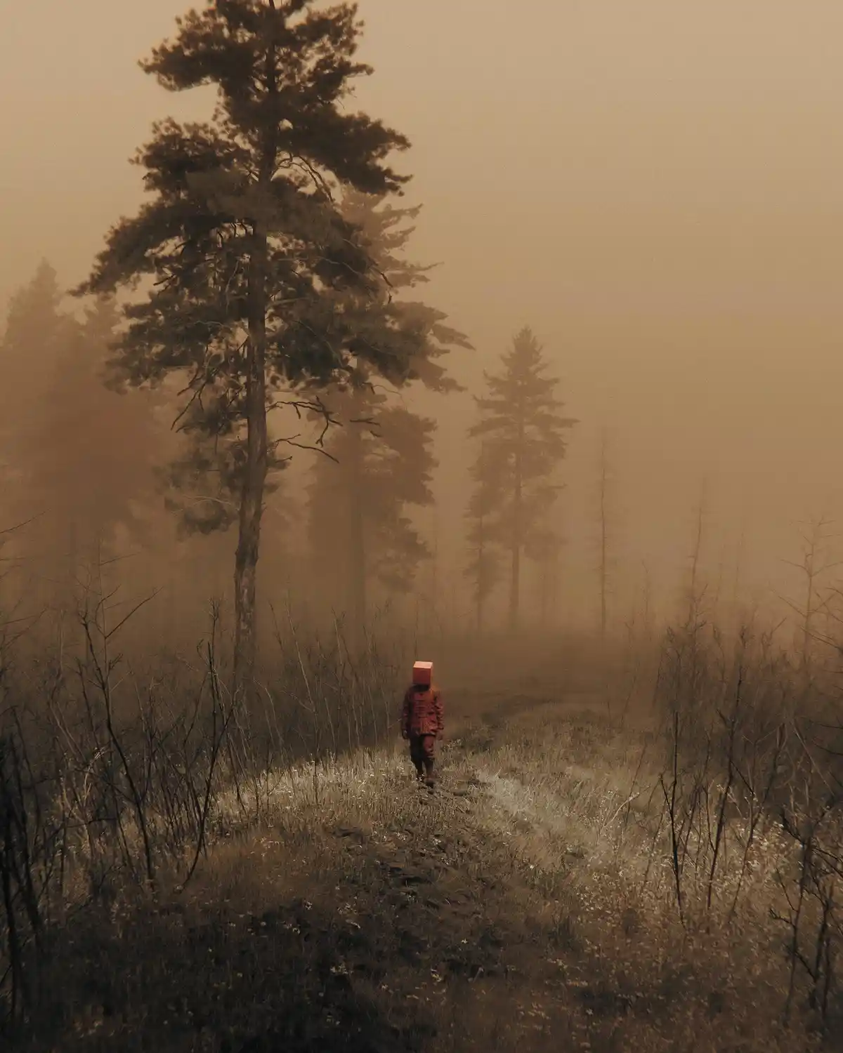 A person in a red outfit walks away down a misty forest path, their head replaced by a solid red cube. The scene is eerie…