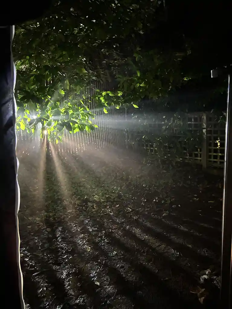 A nighttime backyard scene viewed from inside a doorway, illuminated by a bright flashlight or spotlight cutting through…