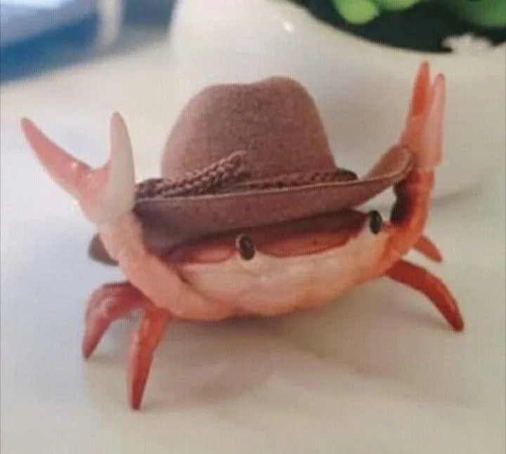 A small, pinkish-orange crab with large claws is wearing a brown cowboy hat tilted over its eyes, obscuring its face. The…
